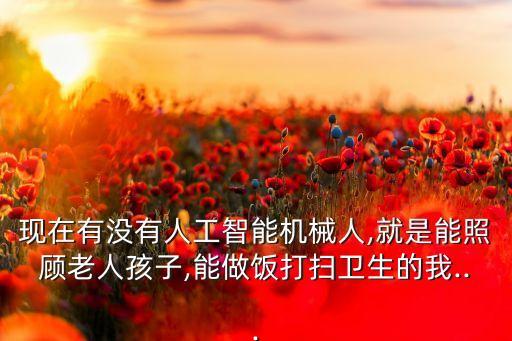 現(xiàn)在有沒有人工智能機械人,就是能照顧老人孩子,能做飯打掃衛(wèi)生的我...