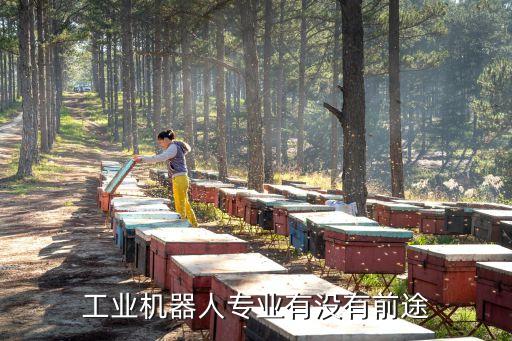 工業(yè)機(jī)器人專業(yè)有沒有前途