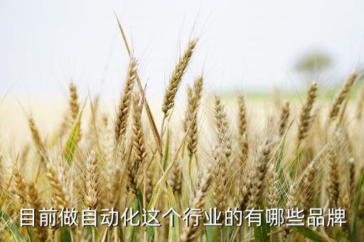 國(guó)內(nèi)有哪些自動(dòng)化公司,中國(guó)十大機(jī)器人公司有哪些?