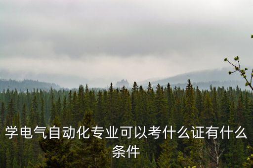 學電氣自動化專業(yè)可以考什么證有什么條件