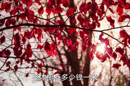 整體櫥柜多少錢一米