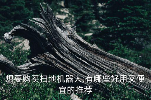 石頭機(jī)器人第一代,從石頭到小米推出智能掃地機(jī)器人