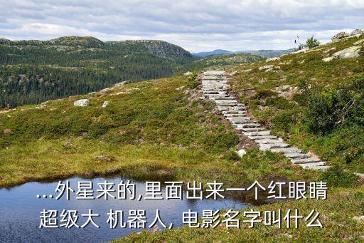 ...外星來(lái)的,里面出來(lái)一個(gè)紅眼睛超級(jí)大 機(jī)器人, 電影名字叫什么