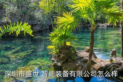 深圳市盛世 智能裝備有限公司怎么樣