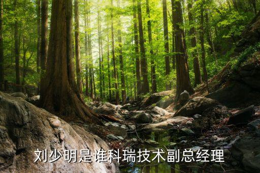 劉少明是誰科瑞技術(shù)副總經(jīng)理