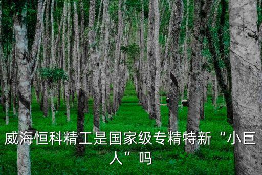 威海恒科精工是國家級(jí)專精特新“小巨人”嗎
