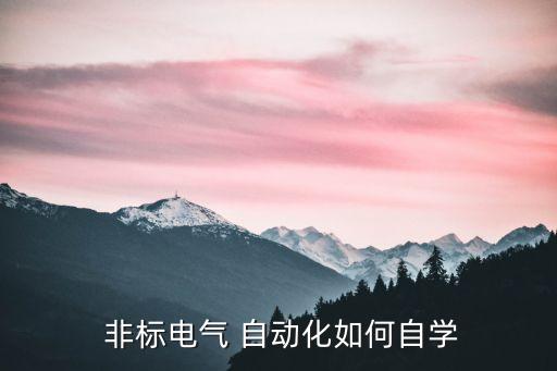  非標(biāo)電氣 自動(dòng)化如何自學(xué)