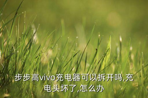 步步高vivo充電器可以拆開(kāi)嗎,充電頭壞了,怎么辦