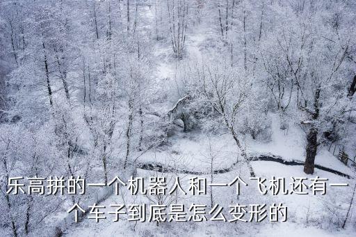樂(lè)高拼的一個(gè)機(jī)器人和一個(gè)飛機(jī)還有一個(gè)車(chē)子到底是怎么變形的