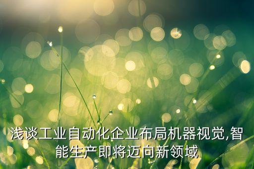 淺談工業(yè)自動(dòng)化企業(yè)布局機(jī)器視覺,智能生產(chǎn)即將邁向新領(lǐng)域