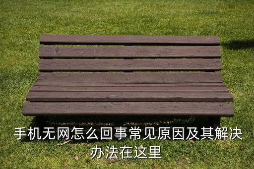  手機無網(wǎng)怎么回事常見原因及其解決辦法在這里