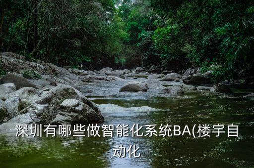 深圳有哪些做智能化系統(tǒng)BA(樓宇自動(dòng)化