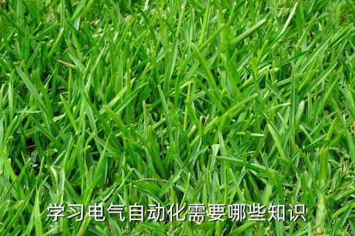 學習電氣自動化需要哪些知識