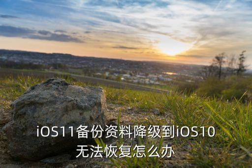 iOS11備份資料降級到iOS10無法恢復怎么辦