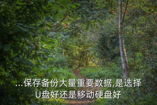 ...保存?zhèn)浞荽罅恐匾獢?shù)據(jù),是選擇U盤好還是移動(dòng)硬盤好
