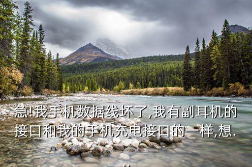 急!我手機(jī)數(shù)據(jù)線壞了,我有副耳機(jī)的接口和我的手機(jī)充電接口的一樣,想...