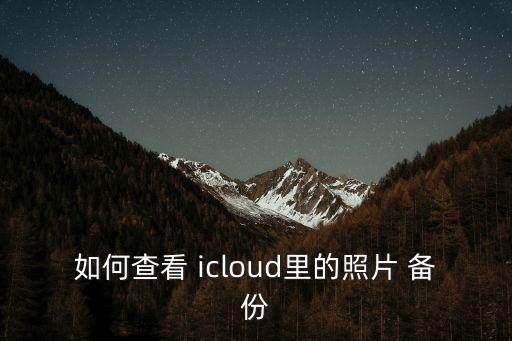 如何查看 icloud里的照片 備份