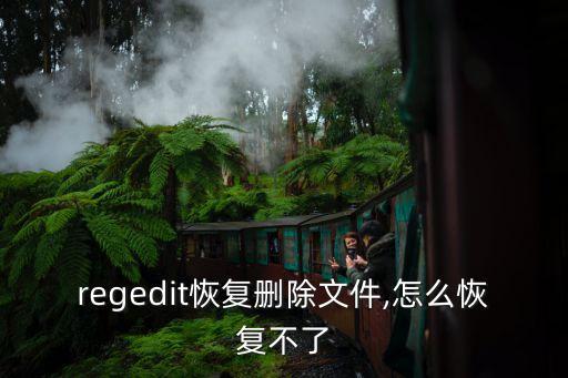 regedit恢復(fù)刪除文件,怎么恢復(fù)不了
