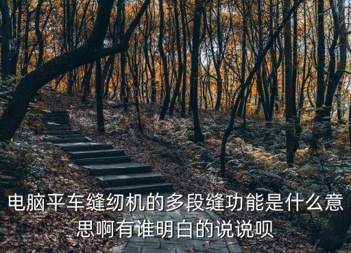 電腦平車縫紉機(jī)的多段縫功能是什么意思啊有誰(shuí)明白的說(shuō)說(shuō)唄