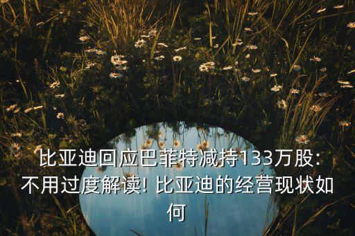 比亞迪港股
