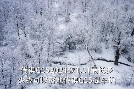 傳奇gs5自動(dòng)科技智領(lǐng)版怎么樣