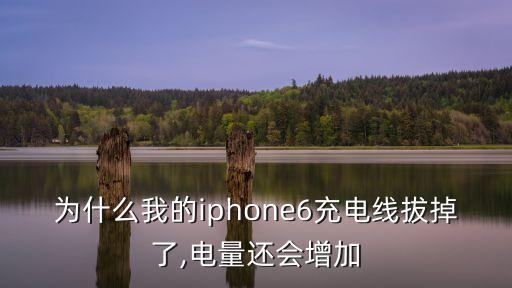 充電器拔了數(shù)據(jù)線,蘋果14有充電器和數(shù)據(jù)線嗎