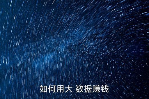 如何用大 數(shù)據(jù)賺錢(qián)