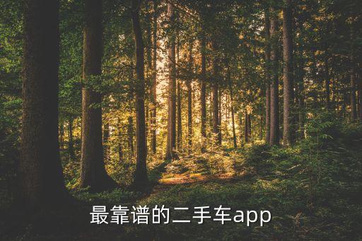 最靠譜的二手車app