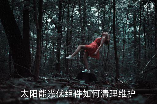 光伏堿拋設(shè)備自動(dòng)化維修,光伏自動(dòng)化設(shè)備有哪些?