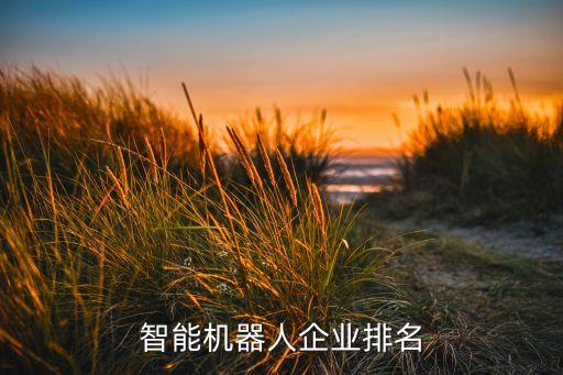 智能機器人企業(yè)排名