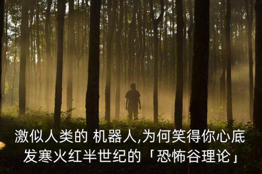 硅谷人形機(jī)器人,美國硅谷機(jī)器人對話事件