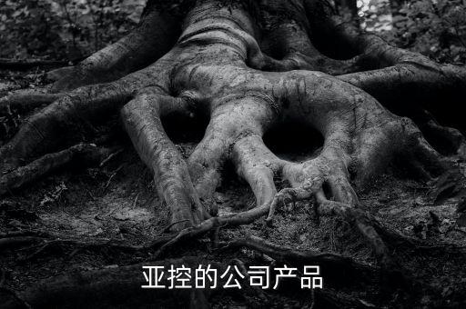 亞控的公司產(chǎn)品