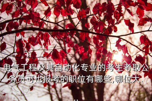 電氣工程及其自動(dòng)化專業(yè)的考生考取公務(wù)員可也報(bào)考的職位有哪些,哪位大...