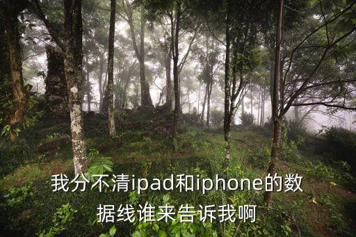 我分不清ipad和iphone的數(shù)據(jù)線誰來告訴我啊