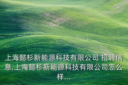 上海懿杉新能源科技有限公司 招聘信息,上海懿杉新能源科技有限公司怎么樣...