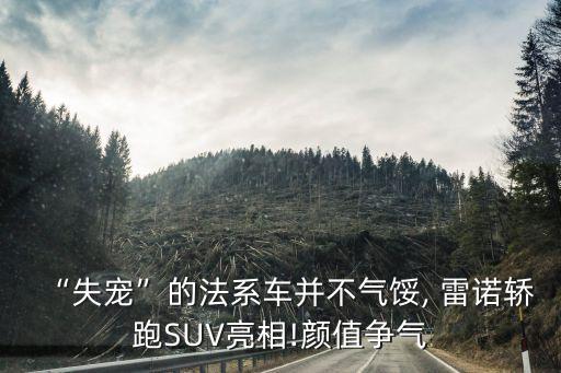 雷諾梅甘娜rs