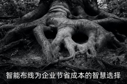小型自動(dòng)化設(shè)備機(jī)柜布線,機(jī)房智能布線怎么扎線?