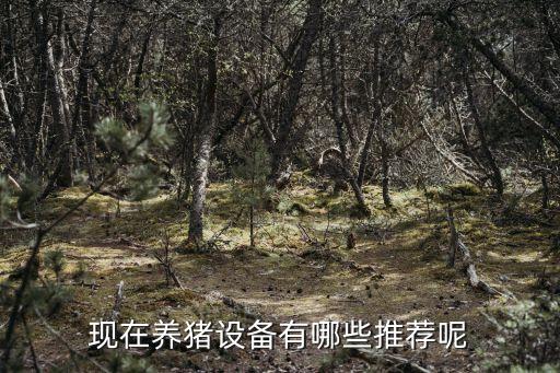 現(xiàn)在養(yǎng)豬設(shè)備有哪些推薦呢