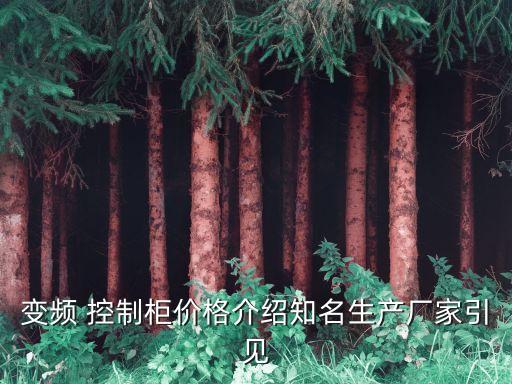 變頻 控制柜價格介紹知名生產(chǎn)廠家引見