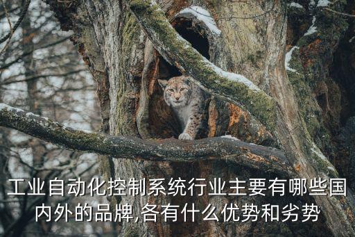 工業(yè)自動(dòng)化控制系統(tǒng)行業(yè)主要有哪些國內(nèi)外的品牌,各有什么優(yōu)勢(shì)和劣勢(shì)