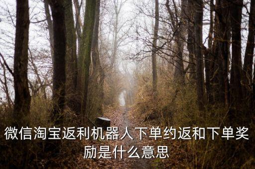智能購物返利機(jī)器人,淘寶返利機(jī)器人怎么用?看這里!