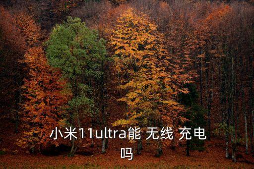  小米11ultra能 無線 充電嗎
