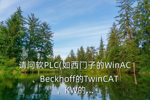 請問軟PLC(如西門子的WinAC、Beckhoff的TwinCAT、KW的...