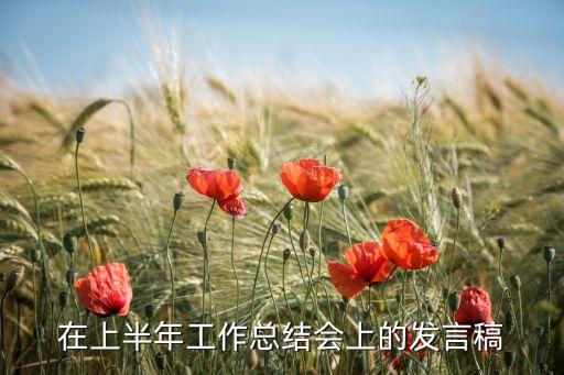 在上半年工作總結(jié)會(huì)上的發(fā)言稿