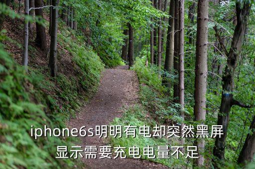 iphone6s明明有電卻突然黑屏顯示需要充電電量不足
