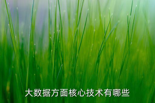 大數(shù)據(jù)方面核心技術(shù)有哪些