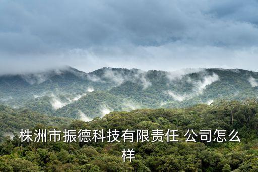 株洲市振德科技有限責(zé)任 公司怎么樣