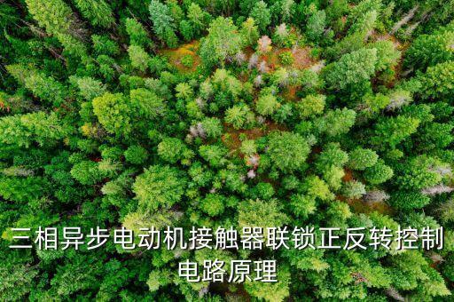 聯(lián)鎖控制,電動(dòng)機(jī)正反轉(zhuǎn)聯(lián)鎖控制電路原理怎樣寫