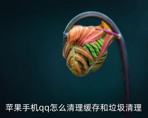 蘋果手機(jī)qq怎么清理緩存和垃圾清理