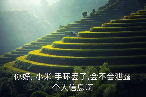 小米手環(huán) 數(shù)據(jù)丟失